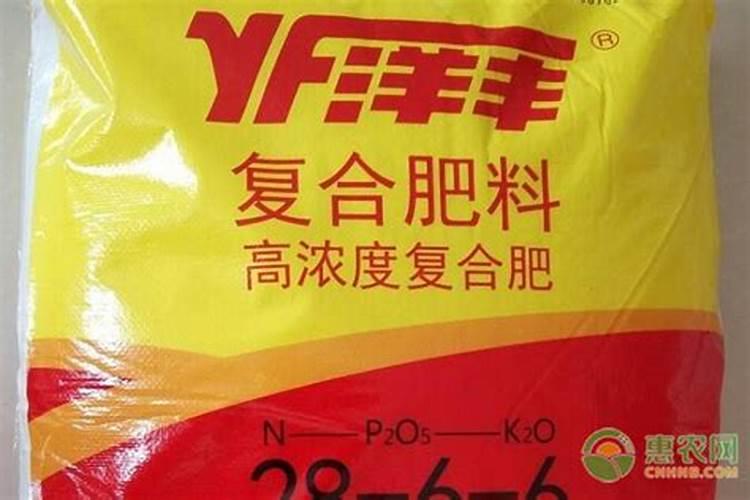 金太龙水溶肥一桶多少袋