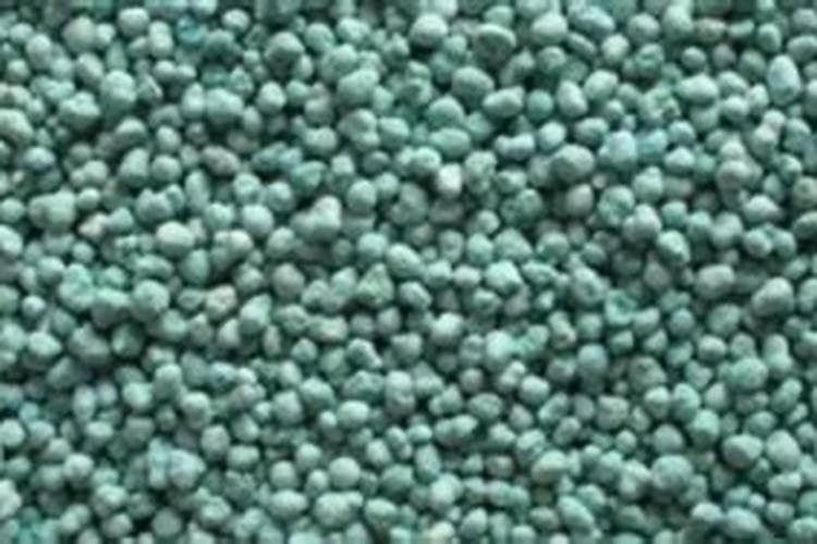 桑葚病虫害怎样治理