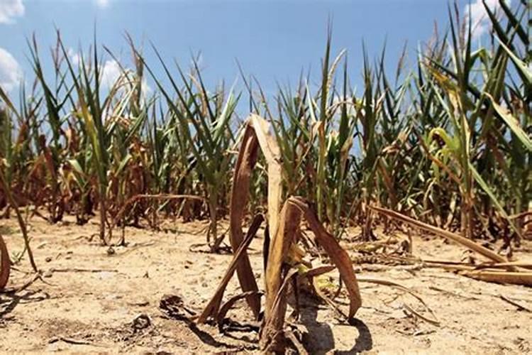 我想请问一下氮肥、磷肥(磷酸二铵)、钾肥(氯化钾)的价格分别是多少百 ...