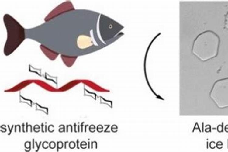 养花营养土的配制方法