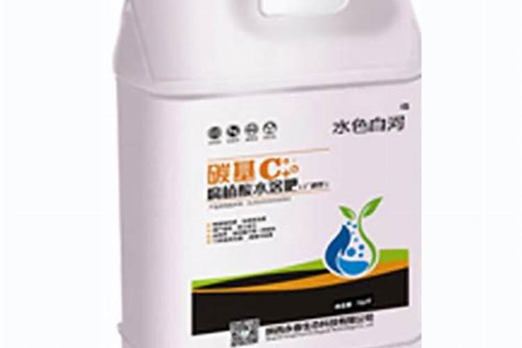 苹果树补钙几月份最好