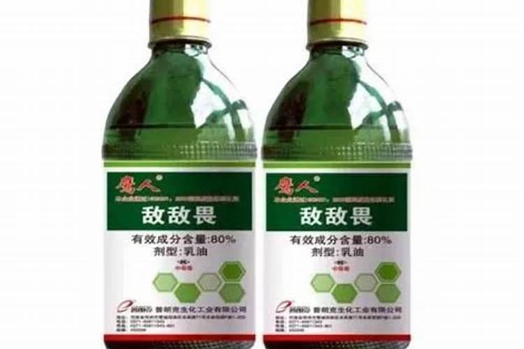 种植南瓜想高产怎么办