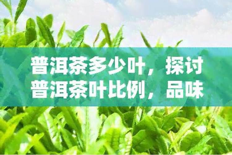 水溶肥行业的发展前景怎么样