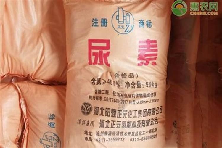 山东颐杰鸿丰能源装备有限公司怎么样？