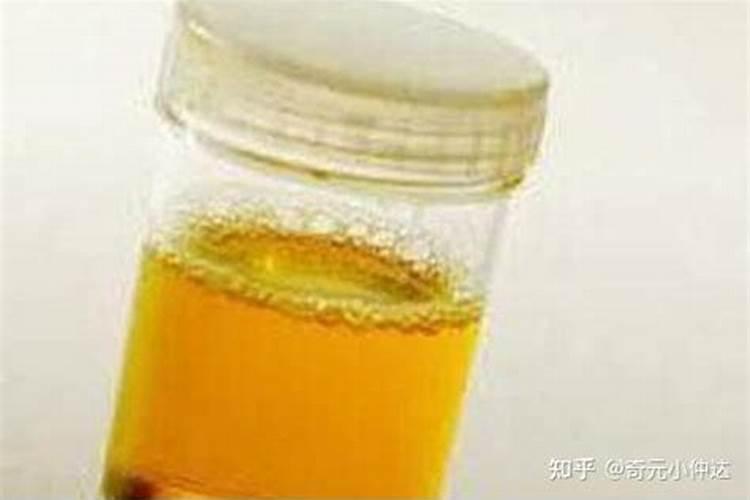 三角梅扦插用什么土壤最好