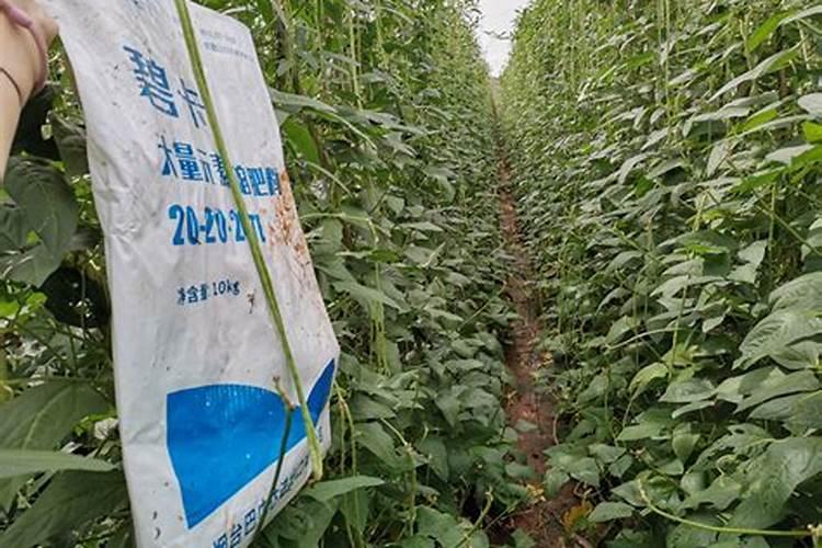 水溶肥料是什么原料做的 水溶肥原料等级划分