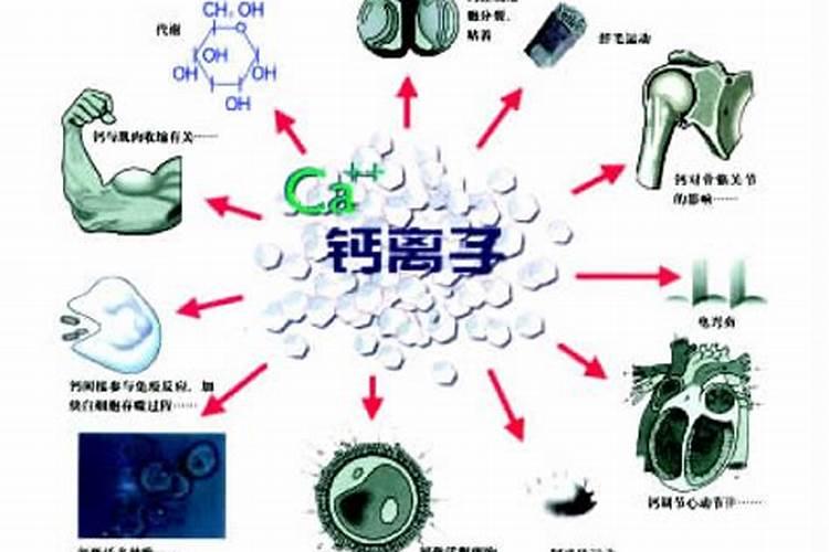 水溶肥是什么肥料,水溶肥料怎么使用效果更好