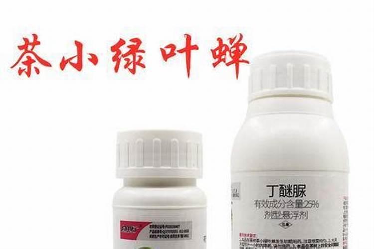 种多肉的土怎么配