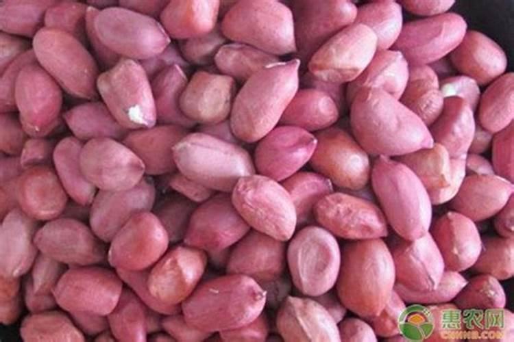 中微量元素肥料正确使用方法