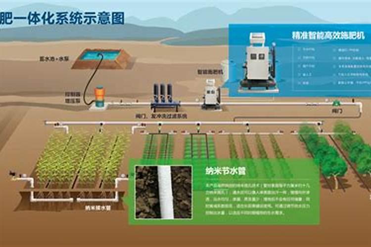 草坪怎么施复合肥多少