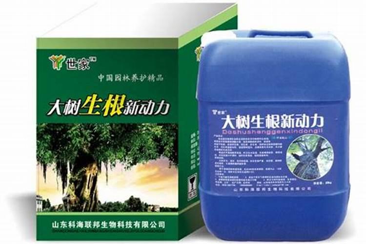 大树移栽日常养护管理技术