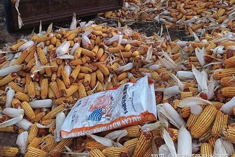 煤灰可以做肥料吗