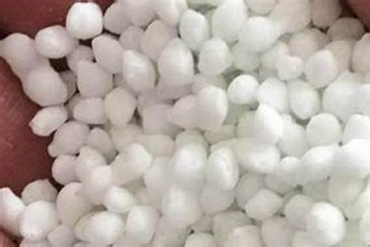 甘蔗增粗用什么肥料