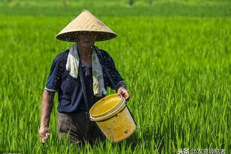 钾肥施用要注意什么