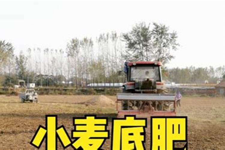 种植小麦用啥含量复合肥好？