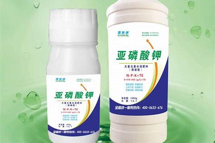 葡萄坐果后用着钾肥怎么办