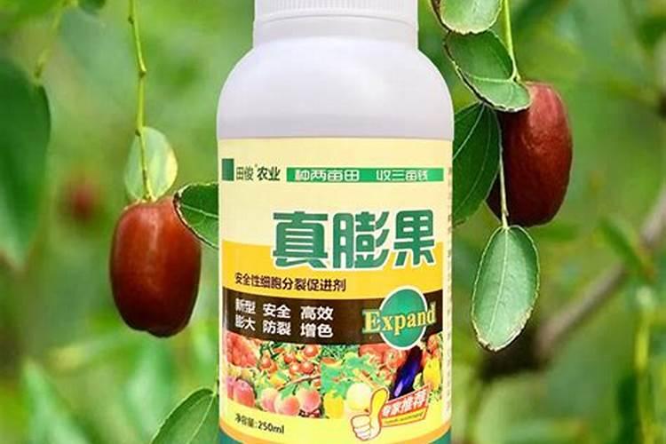 果树缺钙用什么肥料最适合