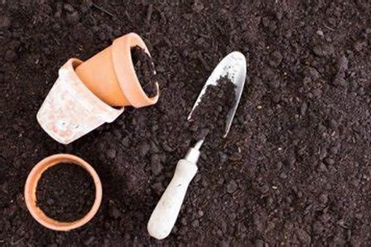 怎么给植物补钾效果好？