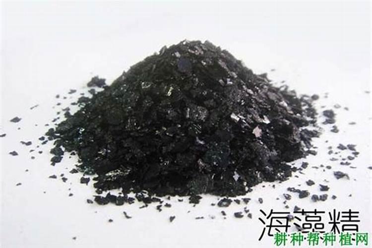 最好的海藻肥排名