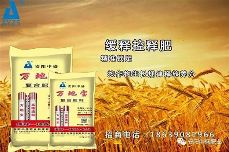 黄豆做肥料最佳最简单方法
