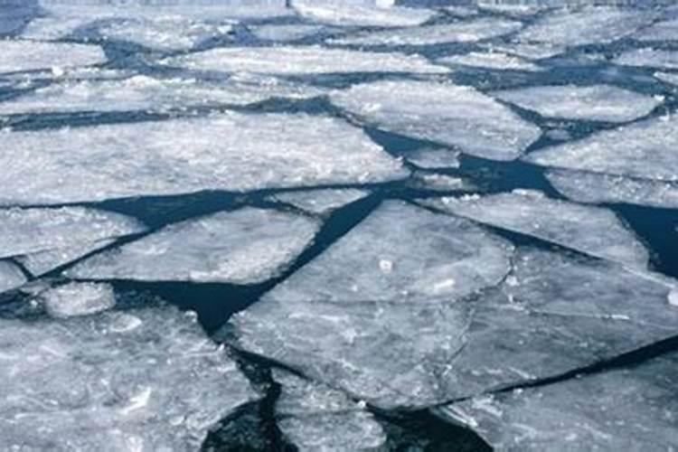 果树促花用什么叶面肥好？