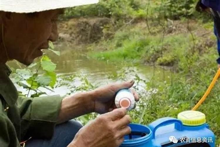 不想使用激素,怎么让农作物的根茎强健、果实大？