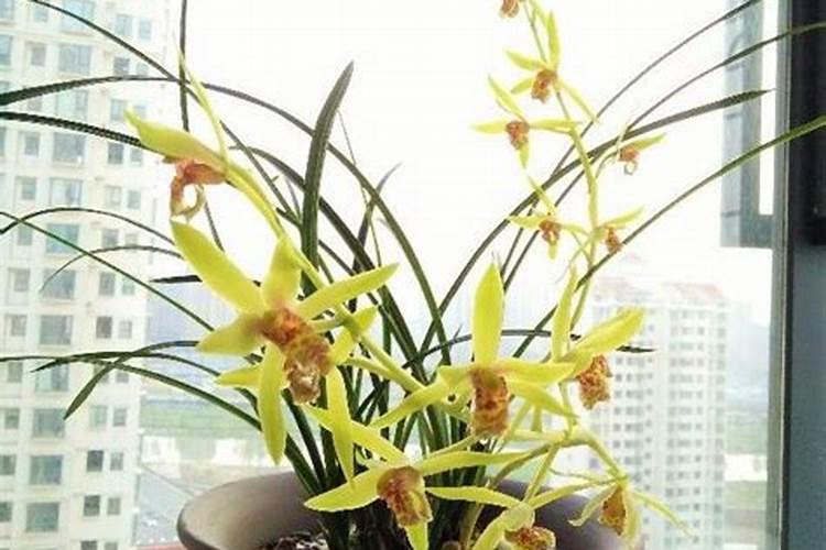 镉是怎么产生的