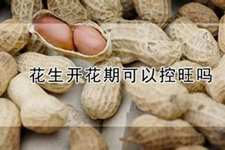 花生在开花期不能喷施铁肥合锌肥吗？