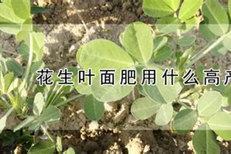花生开花期浇水好还是落花期浇水好？