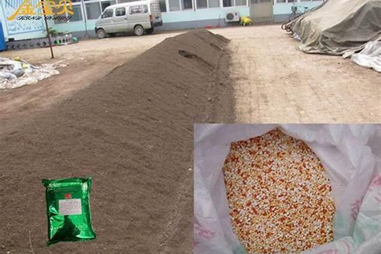 碗莲叶子枯萎可以剪掉嘛？