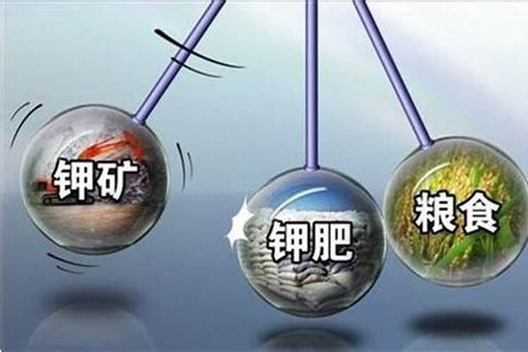 满天星用什么肥料最好