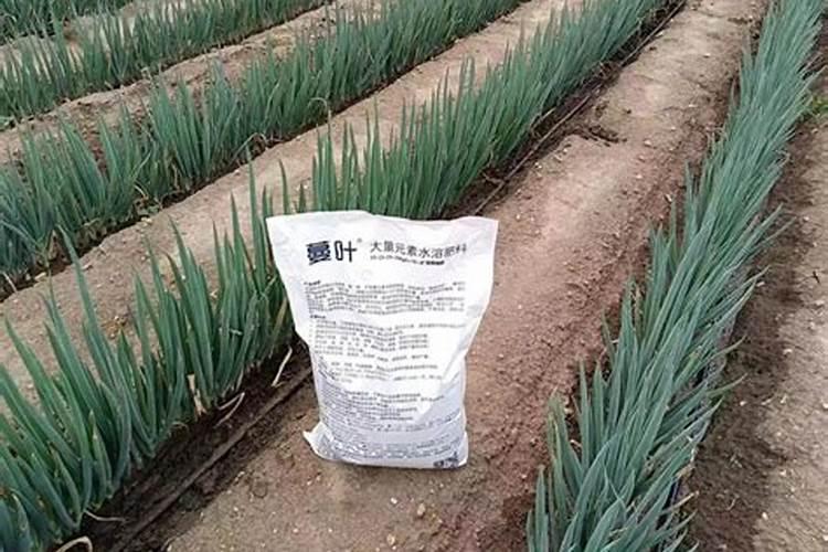 硫酸钾肥料适合种什么