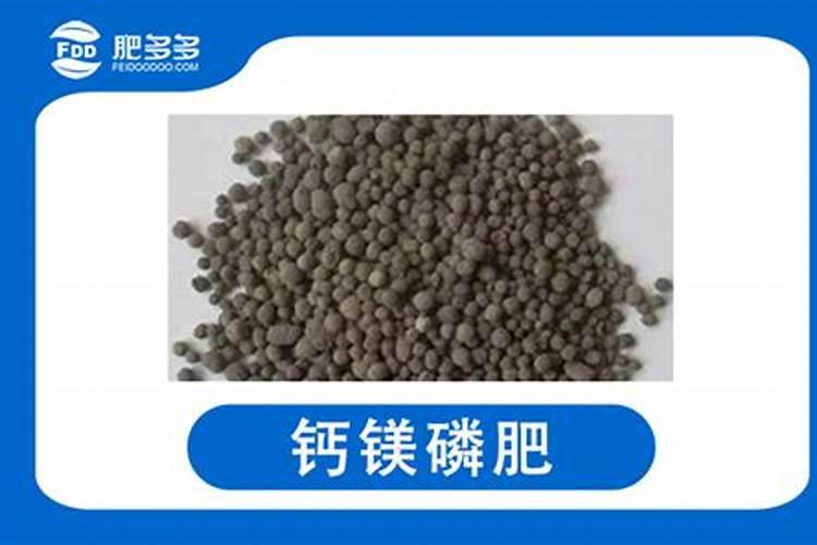 李子弱树施什么肥