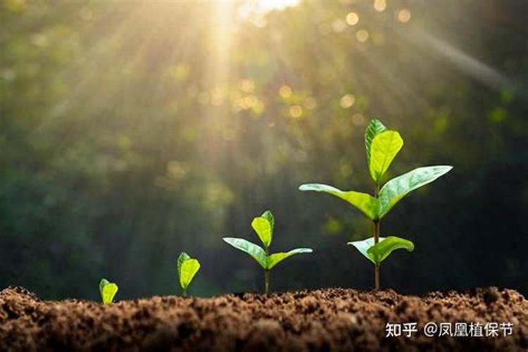 化肥二铵有效期多长时间