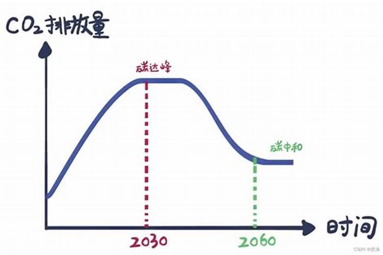 葡萄树移栽 需不需要施底肥