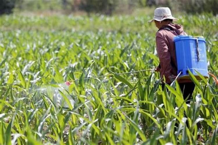 用普通复合肥混水喷施叶面能不能达到叶面追肥的效果？