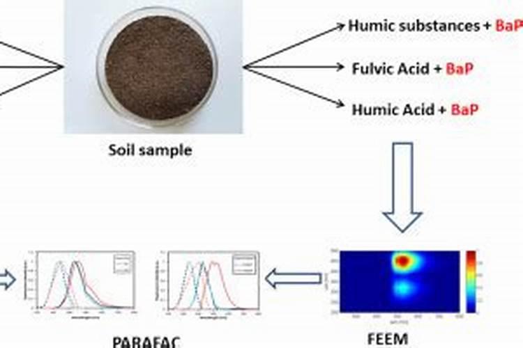 葡萄春天浇水时间表