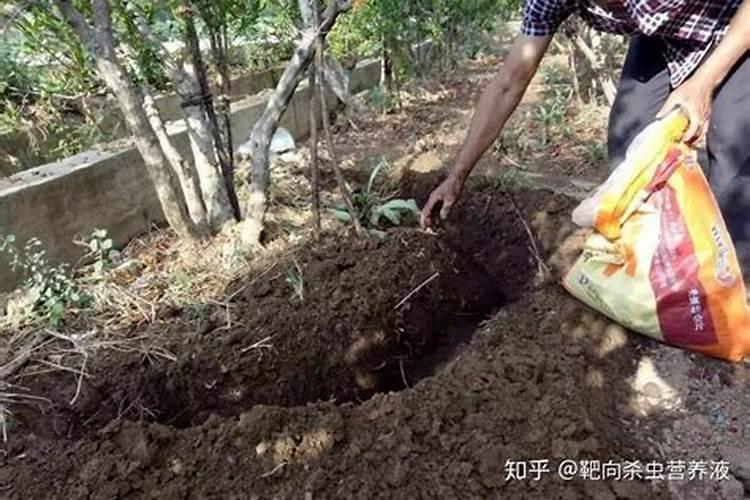 石榴挂果后离采果一个月可以施硫酸铵硫酸钾吗？