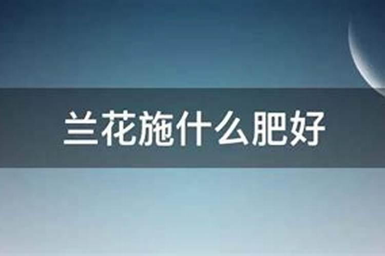 白兰花施肥方法,用什么肥好