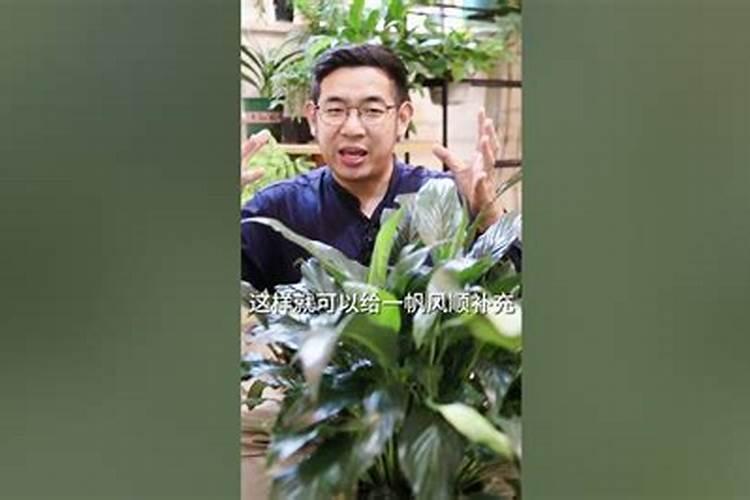 西瓜什么时候冲施钙肥？