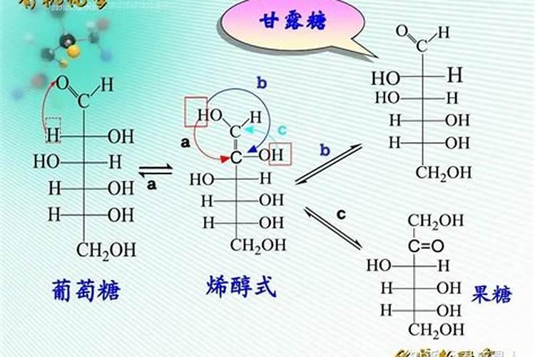 葡萄糖酸钙和糖醇钙哪个容易被植物吸收？