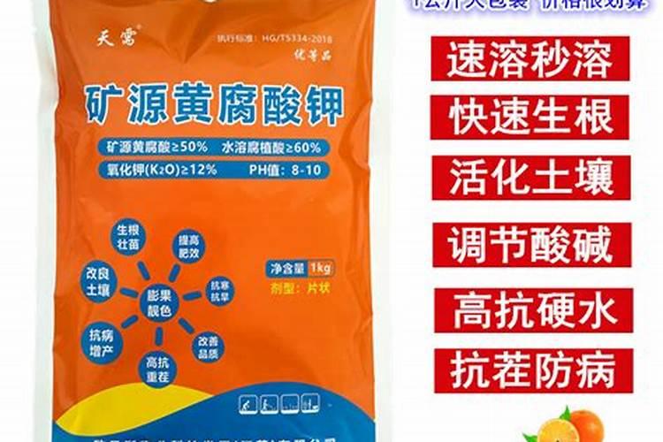 多肉施肥用什么肥料