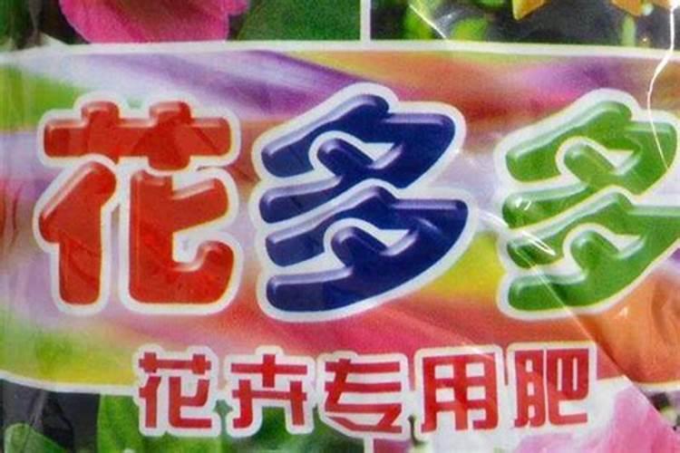 冬天北方暖气怎么养多肉