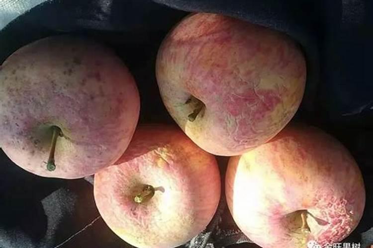 凡士林的成分都包括哪些