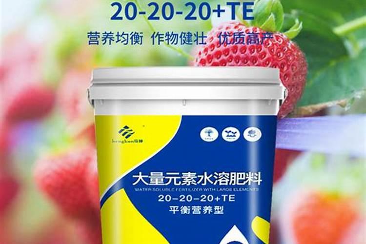 芹菜叶子为什么不能吃