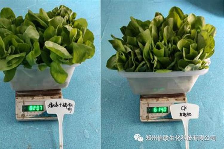 平衡水溶肥配方