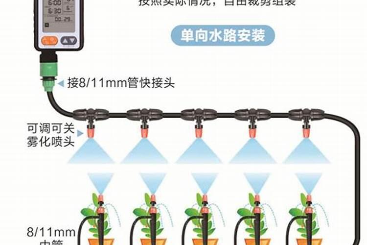 牡丹在开花的时候可以施肥吗