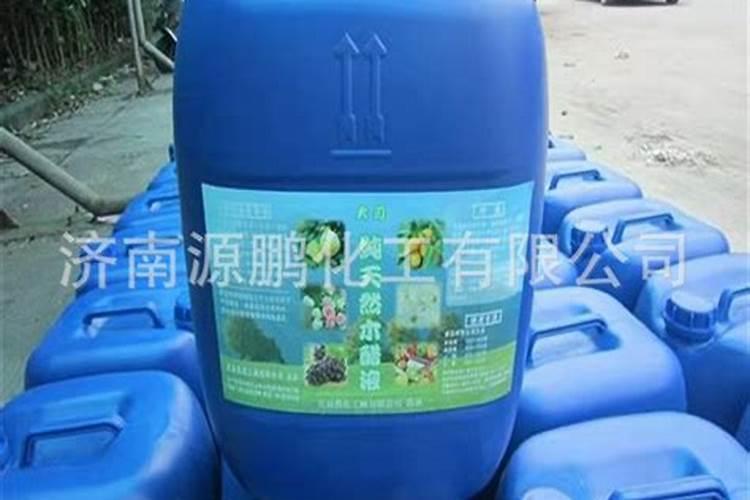 小麦没用底肥怎么办 后期如何合理追肥