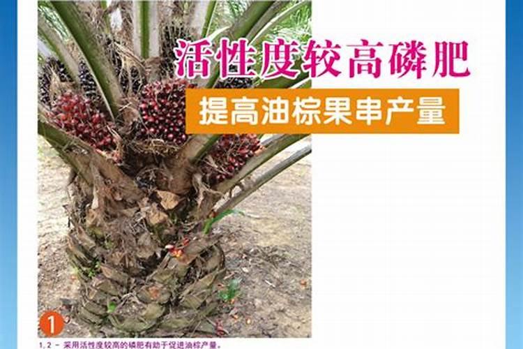 小麦多少度能发芽