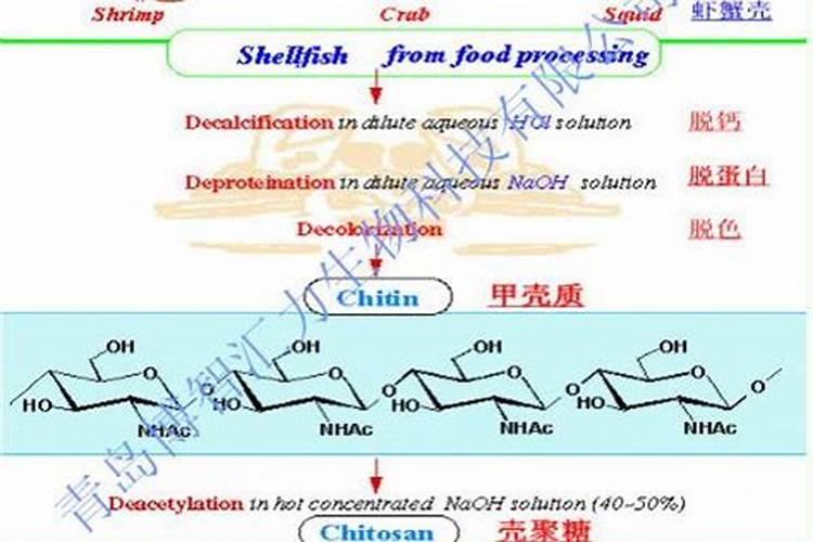 养花的氮肥有哪些 哪几种最常用